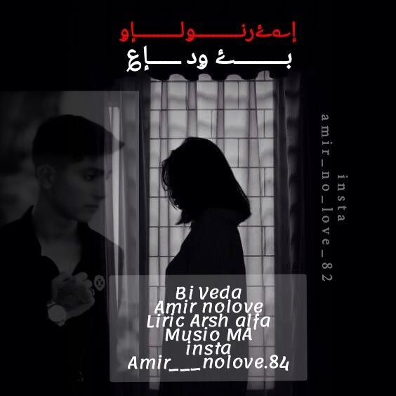 امیر نولاو بی وداع